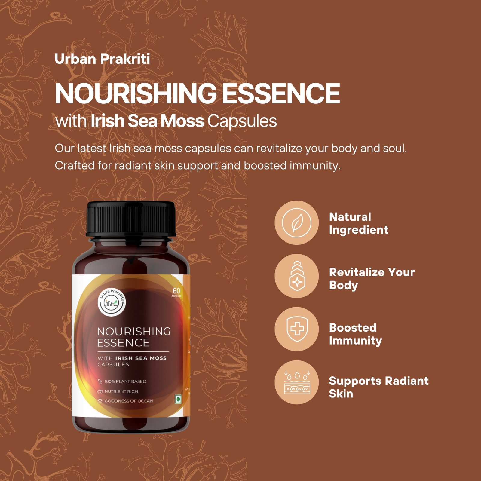 Irish Sea Moss Capsules - Image 3