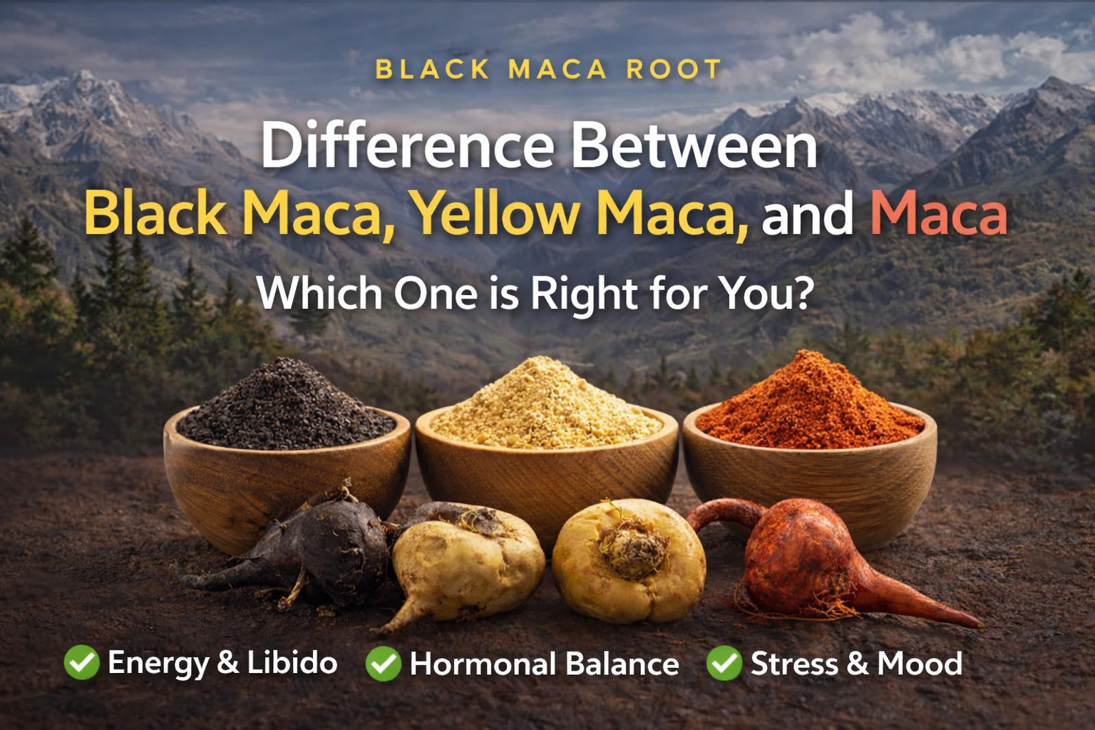 Difference Between Black Maca, Yellow Maca, and Red Maca