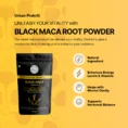 5.webp